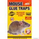 2pk Mouse Glue Traps - Display Box