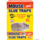 2pk Mouse Glue Traps - Display Box