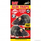 2pc Rat Glue Traps - Display Box