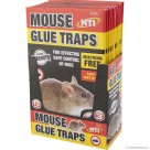 3pc Mouse Glue Traps - Display Box