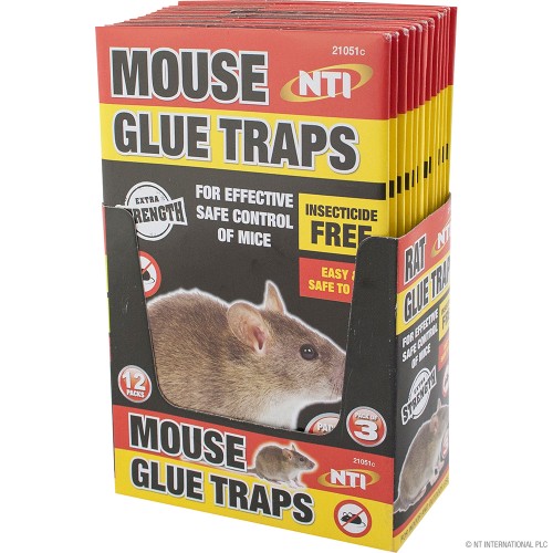 3pc Mouse Glue Traps - Display Box