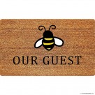 PVC Backed Coir Mat 15mm Natural Printed 45x7