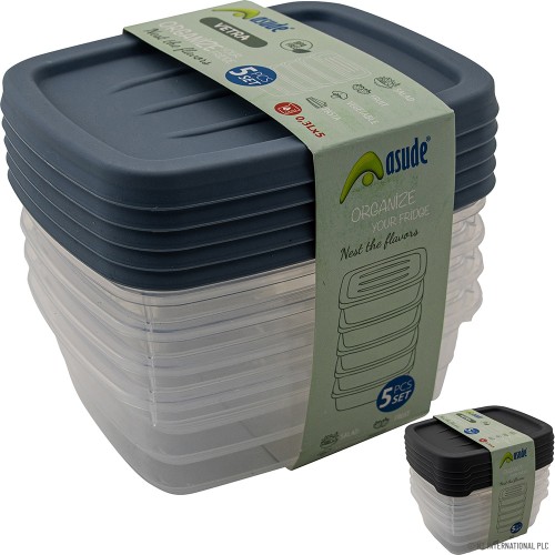 3L STORAGE BOX SET OF 5