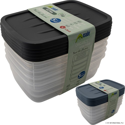 2L STORAGE BOX SET OF 5